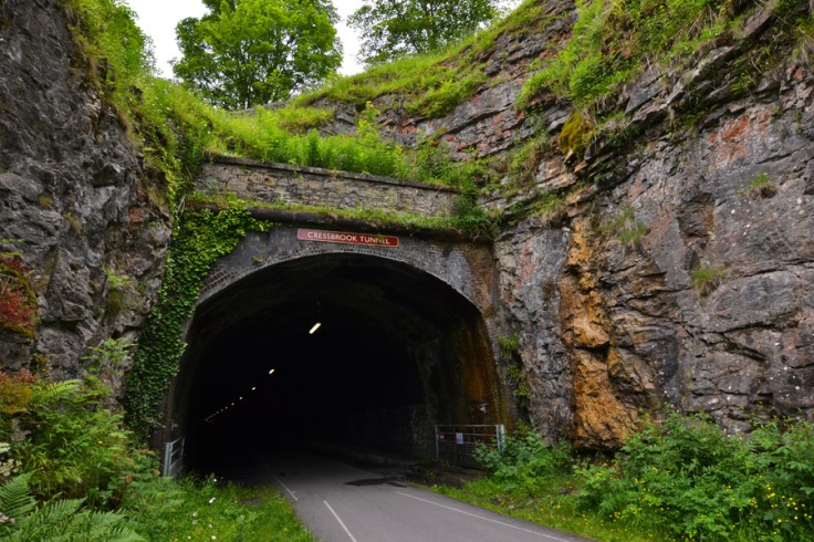 Cycle Tunnel